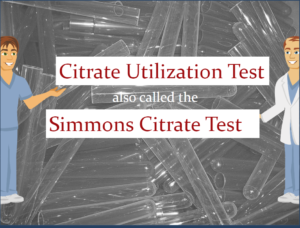 Citrate Utilization Test also called the Simmons Citrate Test